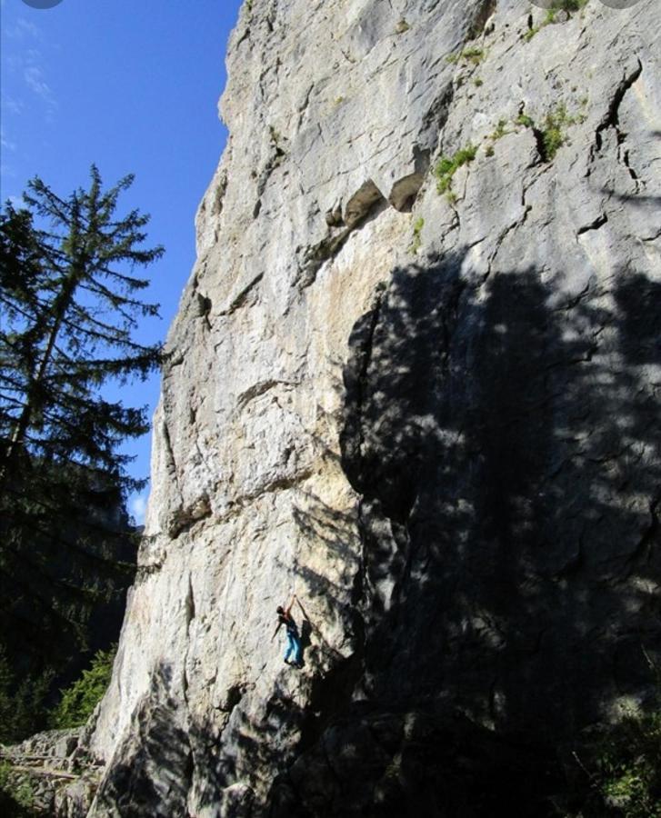 Apartma Jelendol Tržič Exteriér fotografie