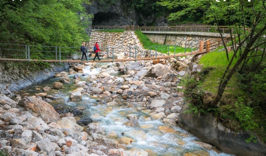Apartma Jelendol Tržič Exteriér fotografie